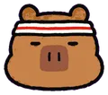 Blank (capybara)