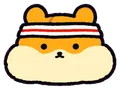 Pouch (hamster)