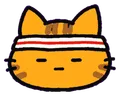 Meh (cheese tabby)